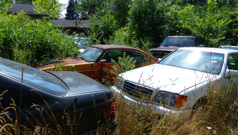Illustration for article titled One Year Later, Michigan Man Ordered to Sell 20 Cars a Month Is Out 160 Cars but Remains Upbeat